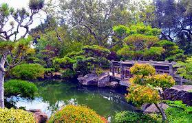 Japanese Garden Hayward Frederico Domondon