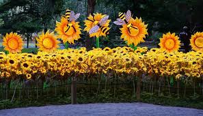 Murrells Inlet South Carolina Usa July 4 2018 The Festival Of Lights At Brookgreen Gardens In Murrells Inlet South Carolina Editorial Stock Photo Image Of Brookgreen Insect 134211768
