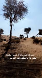 صور بر مع عبارات ضيم In 2021 Beautiful Nature Scenes Beautiful Arabic Words Photo Quotes