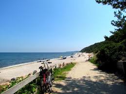 We did not find results for: Shoreham Wading River Long Island Sound Study