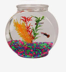 Decorative Fish Bowl Decorations Ideas Fish Bowls Rocks Fish Bowl Decorations Glass Fish Bowl Decorative Bowls