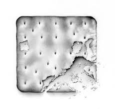 Biscuit Pencil Drawing Http Cathriley Com Observational Drawing Black And White Drawing Pencil Drawings