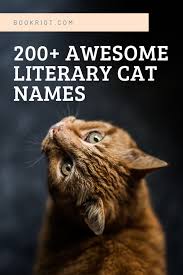 Pin On Books Cute Animals Purrfection
