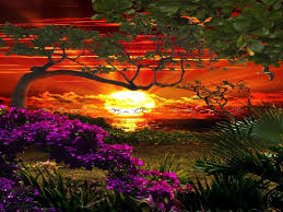 Nature Birds And Flowers Wallpaper Morning Sunrise Morning Sunrise Birds Flowers Sunrise Trees Beautiful Nature Amazing Sunsets Nature