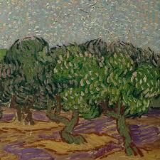Olive Trees Detail Vincent Van Gogh Art Artist Van Gogh Van Gogh Olive Trees