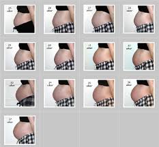 Dersom man er 20 uker gravid når man får utført en ultralyd abdomen så vil legen kunne se ett foster. Magen Fra Uke Til Uke Gravid Babyverden No