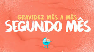 2 Meses De Gravidez Sintomas E Tamanho Da Barriga Youtube