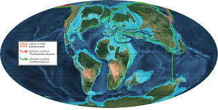 Image result for Zosteraceae