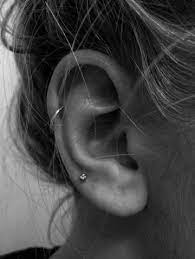 How To Wear Cartilage Helix Hoop Pin Piercing Earrings Inspiration Idea Jewelry Nickel Free Loop Star Segment Nose Lip Clicker Ring Ear Studs For Women Girls Me Cute Ear Piercings Piercings