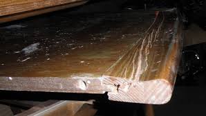 Modern Furniture Repair By Master Craftsmen Best Of Ny Est 1950 Nyc