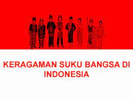 Check spelling or type a new query. Manfaat Keragaman Karakteristik Kurikulum Pelajaran