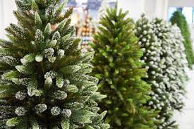 Maybe you would like to learn more about one of these? Where To Buy A Christmas Tree In Dubai Expatwoman Com