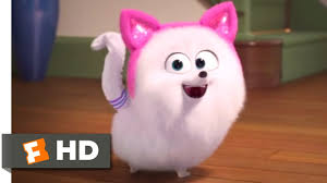 Category:cats | the secret life of pets wiki | fandom. The Secret Life Of Pets 2 Cat Lessons Scene 4 10 Movieclips Youtube