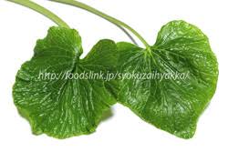 花わさび 葉わさびの選び方と保存方法や料理 旬の野菜百科