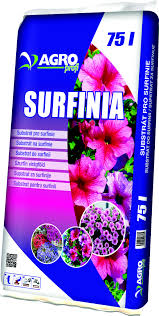 Image result for foto surfínie