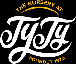 Image result for Clerodendrum fasciculatum