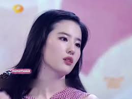 Liang Yun Fei