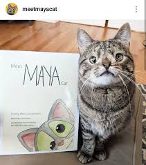 Each year tens of thousands of different animal species are still being discovered by scientists around the world. The Owner Of This Kitten With Down Syndrome Has Released A Book For Children To Learn To Accept And Show Affection To Others Who Are Different Or Have A Disability Like Maya