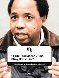 Did Jacob Zuma secretly conspire with Janusz Walus? With the MK Party  leader’s past visits to Walus in prison and reports of his involvement in  securing a pardon, questions are being raised about his ...