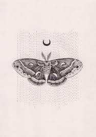 Peter Carrington Find Beauty In Small Things In Things You Re Scared Of Moth Tattoo Moth Drawing Tattoos