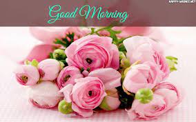 Pink Red Roses Good Morning Images Beautiful Flowers Good Morning Wishes Rose