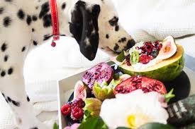 Feb 13, 2021 · lettuce is a perfectly safe vegetable to give to your pets. Can Dogs Eat Lettuce Fuzzy Rescue