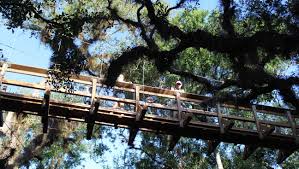 Tickets & tours‎ myakka canopy walkway: Myakka River State Park In Sarasota Charms With History Diversity
