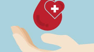 Les selles noires sont appelées « mélénas ». J Ai Du Sang Dans Les Selles C Est Grave L Aspect Des Saignements Femme Actuelle Le Mag