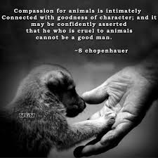 Welcome To Your Vortex The Ultimate Compilation Of Quality Loa Material On The Net Law Of Attraction Spiritual Quantum Ph Animal Quotes Animals Dog Quotes