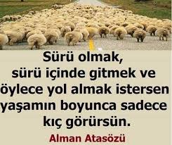 Alman Atasozu Ozlu Sozler Gercekler Guzel Soz