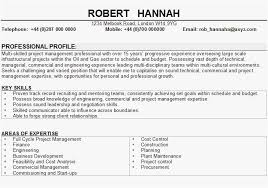 Cv Template Key Skills Resume Format Resume Skills Business Analyst Resume Resume Examples