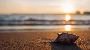 Cercetătorii au descoperit că apa are o fază cuantică, ceea ce înseamnă că o singură particulă poate fi în două locuri în acelaşi timp, relatează curiosity. Temperatura Apei MÄƒrii In Weekend Ul 24 26 Iulie 2020 Ce Se IntamplÄƒ Pe Litoralul Romanesc Impact