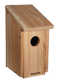 How to build a wooden bird house language:en. Woodlink 15 In H Brown Wood Woodpeckers Nesting Box Bird House In The Bird Houses Department At Lowes Com
