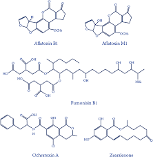 Metal detector wands offer a practical, low cost alternative to airport style walk through, arch type detectors which are designed for rapid scanning of high volumes. Frontiers Aptamer Based Biosensor For Detection Of Mycotoxins Chemistry