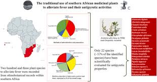 Image result for Gnidia burchellii