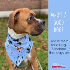 Cowl is a great way to fend off the first chill of winter because it's smaller and quicker to knit than your click the link below for the free knitting pattern: Sew This Dog Bandana Free Pattern Craft Warehouse