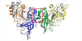 May 28, 2016 · ebola is a negative rna virus. Asm On Twitter Crystal Structure Of Marburg Virus Vp40 Reveals Differences From Ebola Virus Vp40 Jvirology Https T Co Y99ge8adsx Https T Co K1bdcsswhe