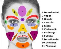 Reflexioterapia Cara Reflexology Massage Therapy Facial Massage