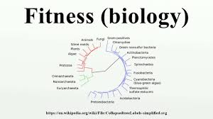 Define Biology Fitness Fitness And Workout
