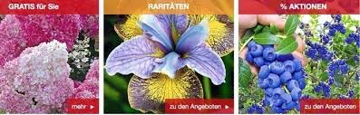 Bis zu 50% reduziert auf aktionesartikel bei baldur. Baldur Garten Gutschein August 2021 30 4 Code Einlosen