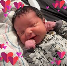 Who can pick up and deliver a shed to my house in Cedar Rapids?