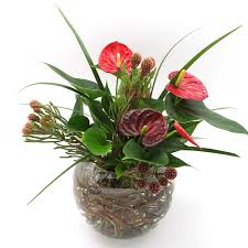 Join to connect valley forge flowers. Valley Forge Flowers Exceeding Expectations