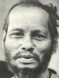 being human Summer 2013 by Anthroposophical Society in America