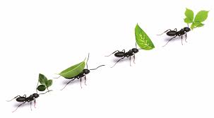 Psychologia z matematyką. Przedstawiamy finalistów naszych Nagród Naukowych