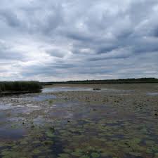 Federsee is a lake located just north of bad buchau in the region of upper swabia in southern germany. Ein Ausflug Zum Federsee In Bad Buchau Natur Trifft Geschichte Ruhe Trifft Abenteuer Die Seele Baumeln Lassen Trifft Entdeckerdrang Hvp030 Heimat Verliebt
