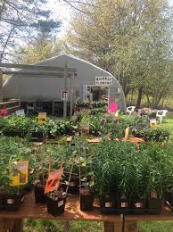 See paula s frankland's phone number, email, photos, social profile and street address in 165 water street, eastport, maine on world's most trusted online directory. Photos Mainely Flowers