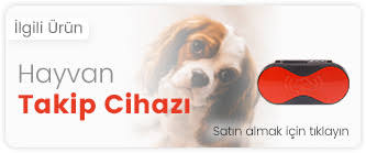 Kopek Takip Cihazi