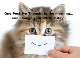Inspirational Quotes About Cats One Positive Thought In The Morning Can Change Your Whole Animal Pictures For Kids Dog Thoughts Animals
