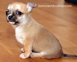 Coldness can lead to shaking or health issues. Pin On Cute Babies