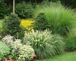 Bolshie Nizkoroslye Hvojnye Derevya V Landshaftnom Oformlenii Dachnogo Uchastka Foto Jpg 1 920 Evergreen Landscape Grasses Landscaping Diy Backyard Landscaping
